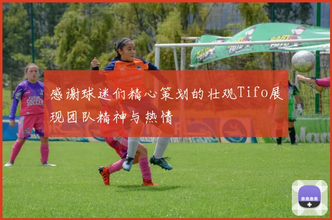 感谢球迷们精心策划的壮观Tifo展现团队精神与热情